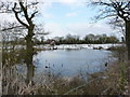 A small pond at Shutt Green