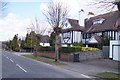 Fine homes along The Avenue