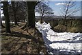 Sheep House Lane, Rivington