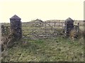 H5881 : Round gate pillars, Cashel by Kenneth  Allen