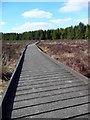 Boardwalk at the Langland Moss Nature Reserve