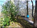 Path above Flatt Linn