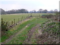 Horse paddocks at Clump Hill