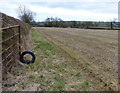 SP7594 : Field and hedge along Welham Lane by Mat Fascione