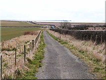 NU0642 : Cycle- and foot-path alongside the road to Holy Island by Oliver Dixon