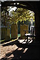 TQ4464 : Farnborough, St Giles the Abbot: yew tree and bench in the churchyard by Christopher Hilton