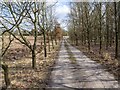 Driveway to Pool Farm