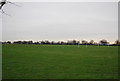 Football pitches, Enfield Playing Fields