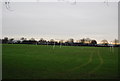 Football pitches, Enfield Playing Fields