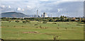 View from Jersey Marine to BP Petrochemical Works, Baglan Bay, 1973