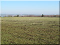 Farmland and woodland north of Broomley Pit House (3)