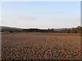 Ledbitters Barn Field/Rock Field