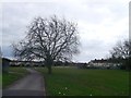 Path in Goresbrook  Park