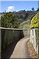 Bridleway below Reigate Hill