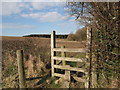 Stile on the Clwydian Way