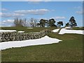 Dry stone wall