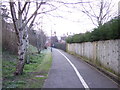 Cycle path beside Metz Way