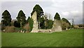 N7211 : Kildare-The Grey Abbey Ruins by Ian Rob