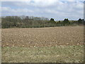 Farmland and woodland off the A436