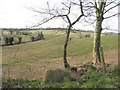 Cavan Townland