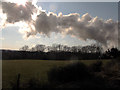 TQ3825 : Smoke and sunshine by Stephen Craven