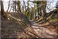 Looking down Coxhill Lane