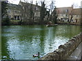 Duck pond, Moreton-in-Marsh