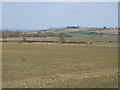 Farmland, Oldborough Farm