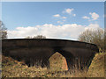 TQ3825 : Farm access bridge by Stephen Craven