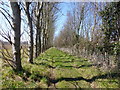 Path just south of Lynsted village