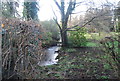 Unnamed tributary of the River Wey