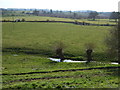 SP2249 : Farmland towards the River Stour by JThomas