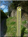 Footpath leaves road in Cheriton