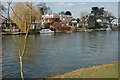 River Thames near Sunbury Court