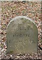 SE5006 : Polly Parrot in the Pet Cemetery at Brodsworth Hall by Dave Pickersgill