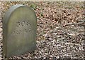 SE5006 : 'Bob' in the Pet Cemetery at Brodsworth Hall by Dave Pickersgill