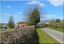 SU5528 : Rodfield Lane passes Ovington Down Farm by Shazz