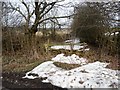 Unmelted snow, Manor House Lane