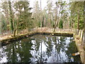 Ramsdown, reservoir