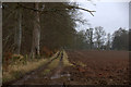 Track near Caddam, Coupar Angus