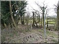 Footpath sign, Brandon Lane