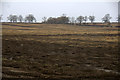 Fields at Keithick, south of Coupar Angus