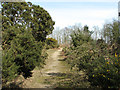 Following the circular path at Toby