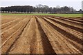 Furrows at Peachcroft Farm