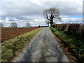 Access Lane heading to Red House Farm