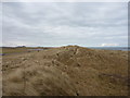 NU2032 : Coastal Northumberland : St Aidan's Dunes, Seahouses (looking NNW) by Richard West