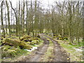 Track to Ashton-under-Lyne Golf Course