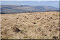 View across Aberdare