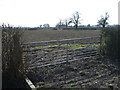 Field entrance, Coldelm Farm