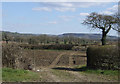 Field entrance off the A38